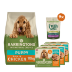 Puppy Starter Pack