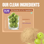 Amla Powder - Image 7