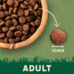 Complete Adult Chicken Dry Cat Food 2kg - Image 6