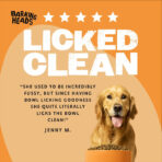 Bowl Lickin' Goodness Chicken Dry Dog Food - All Hounder - Image 6