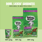Bowl Lickin' Goodness Lamb Dry Dog Food - All Hounder - Image 4