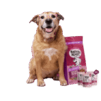 Bowl Lickin' Goodness Lamb Dry Dog Food - All Hounder - Image 30