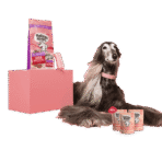 Bowl Lickin' Goodness Lamb Dry Dog Food - All Hounder - Image 31