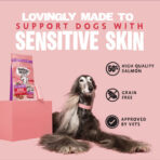 Hair Necessities Salmon Dry Dog Food - All Hounder - Image 15