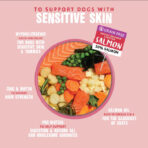 Hair Necessities Salmon Dry Dog Food - All Hounder - Image 3