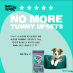 Tummy Loving Care Fish Dry Dog Food - All Hounder - Image 15