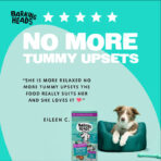 Tummy Loving Care Fish Dry Dog Food - All Hounder - Image 5